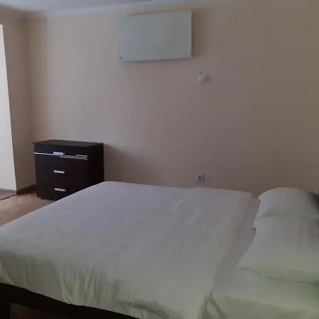 Victoriei Studio Apartment *