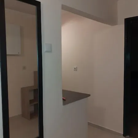 Victoriei Studio Apartment *