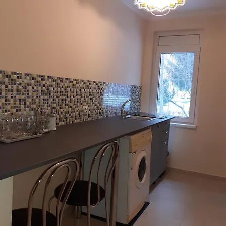 Apartment Victoriei Studio *
