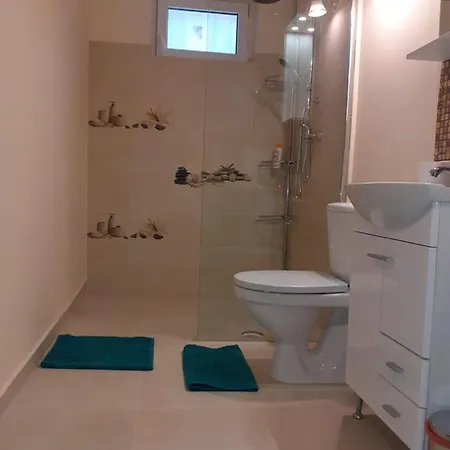 Apartment Victoriei Studio *